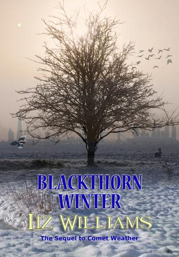 Blackthorn Winter - The Fallow Sisiters 2 (Hardback)