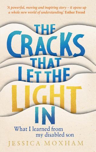 The Cracks that Let the Light In: What I learned from my disabled son (Hardback)