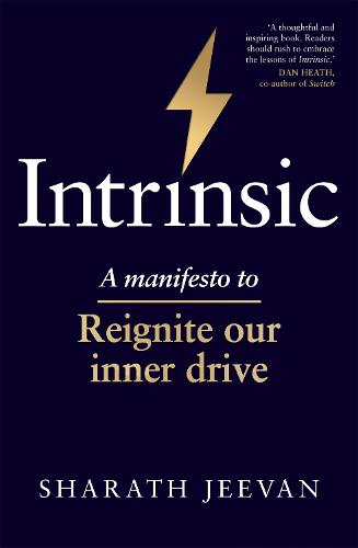 Intrinsic: A manifesto to reignite our inner drive (Paperback)