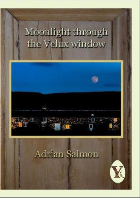 Moonlight through the Velux window (Paperback)