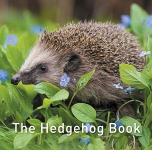 The Hedgehog Book (Hardback)