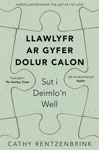 Llawlyfr ar Gyfer Dolur Calon (Paperback)