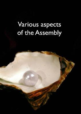 Various aspects of the Assembly 2019 (Paperback)