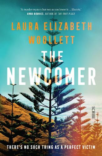 The Newcomer (Paperback)