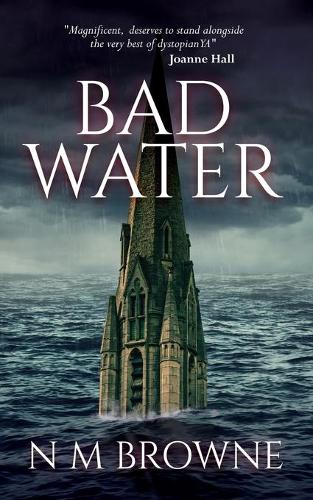 Bad Water (Paperback)