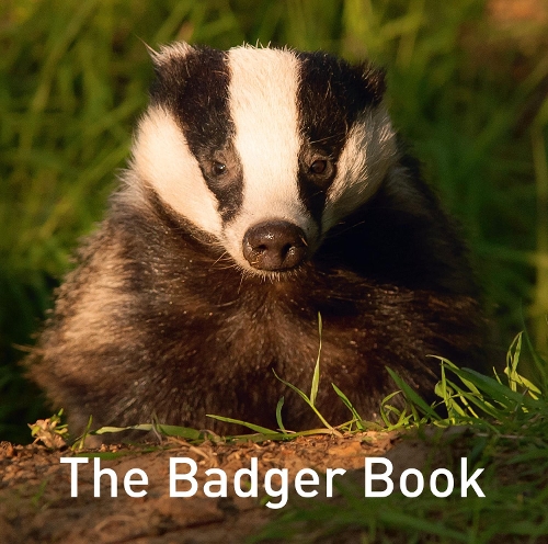Jo Byrne Nature Book Series: The Badger Book