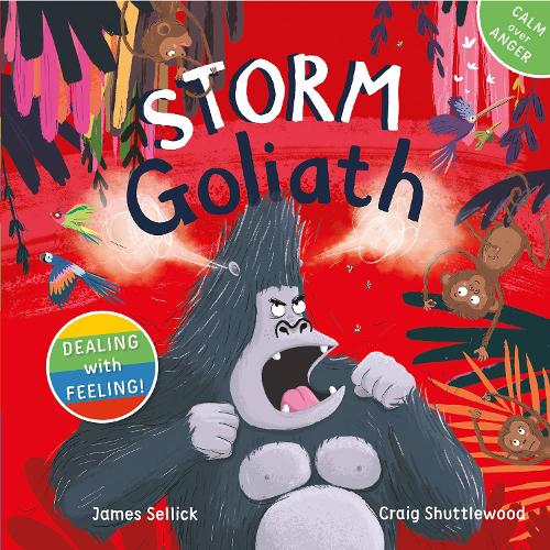 Storm Goliath - Dealing with Feeling 1 (Paperback)