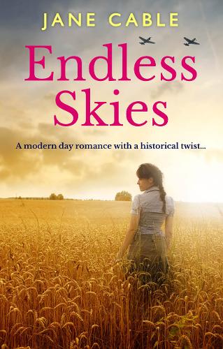 Endless Skies (Paperback)