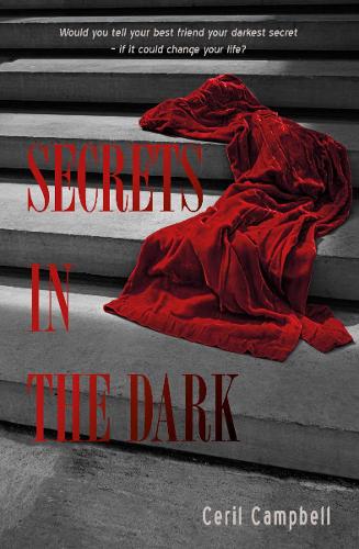 Secrets in the dark (Paperback)