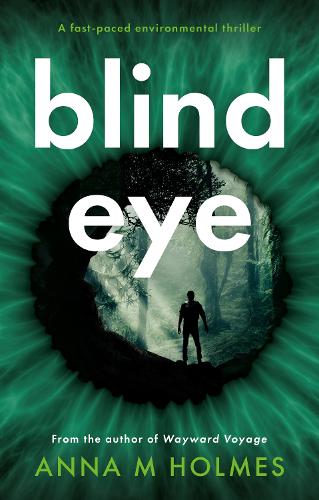 Blind Eye (Paperback)