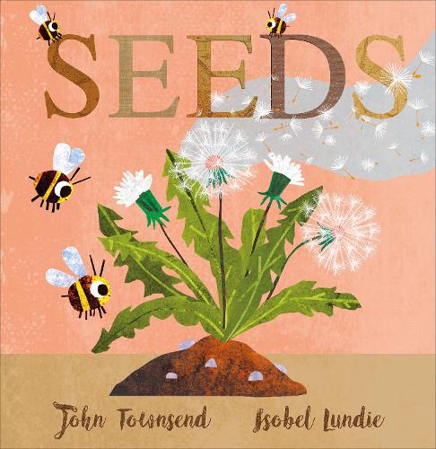 Seeds - Scribblers Board Book (Board book)
