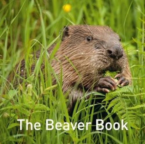 Hugh Warwick Nature Book Series: The Beaver Book
