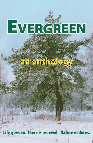Evergreen (Paperback)