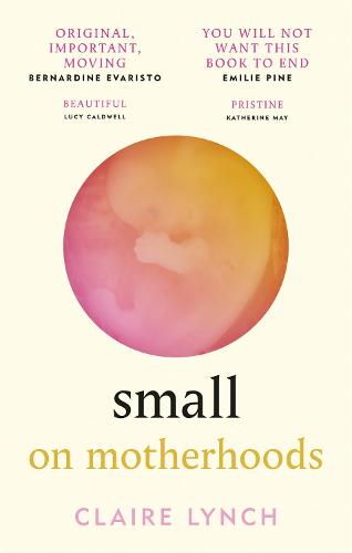 Small: On motherhoods (Paperback)