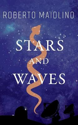 Stars And Waves (Paperback)