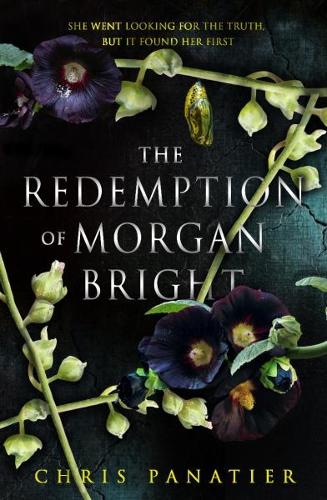 The Redemption of Morgan Bright (Paperback)