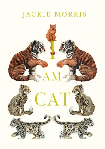 Jackie Morris I am Cat