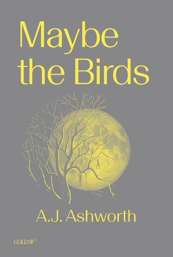 Maybe the Birds (Paperback)