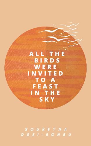 All the Birds Were Invited to a Feast in the Sky (Hardback)