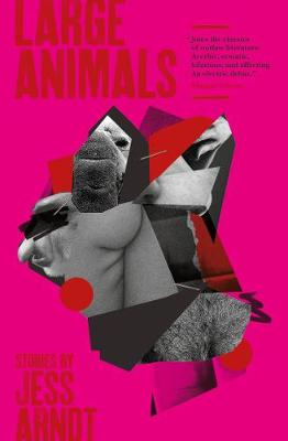 Large Animals: Stories (Paperback)