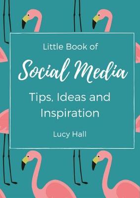 Little Book of Social Media Ideas and Inspiration: Ideas, inspirations and nudges for your next social media post (Paperback)