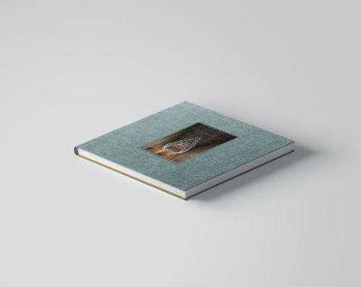 Baldwin & Guggisberg: Under an Equal Sky (Hardback)