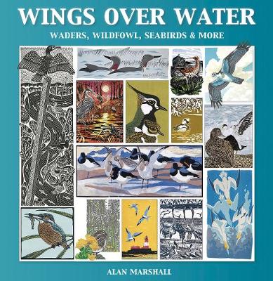 Wings Over Water (Hardback)