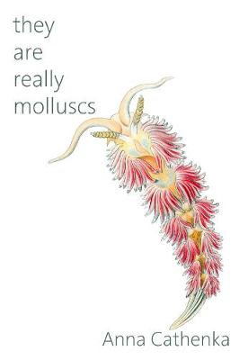 they are really molluscs (Paperback)