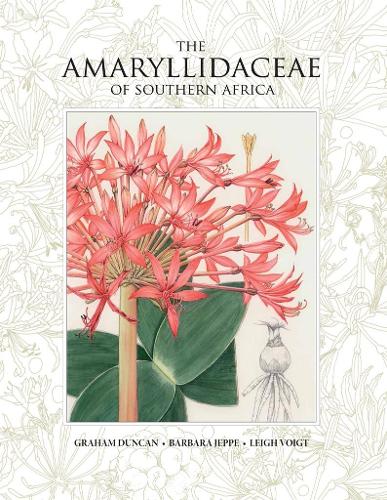 Amaryllidaceae of Southern Africa, The (Hardback)