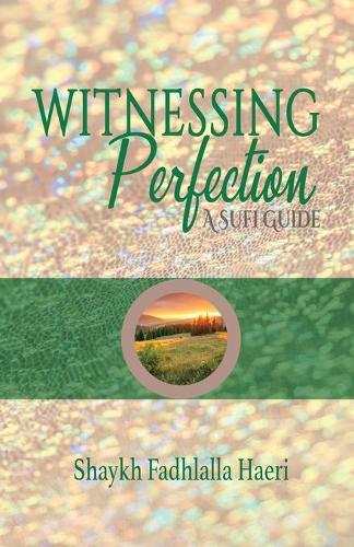 Witnessing Perfection (Paperback)