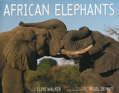 African Elephants (Hardback)