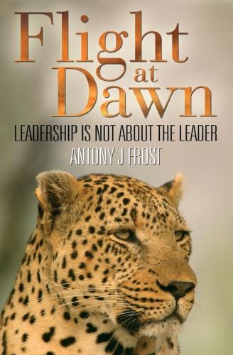 Flight at dawn (Paperback)