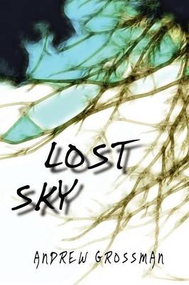 Lost Sky (Paperback)
