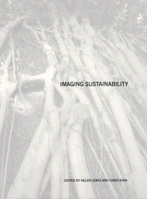 Imagining Sustainability (Paperback)