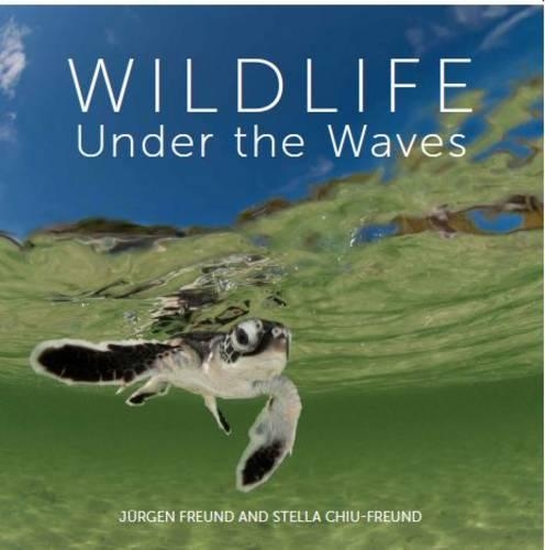 Wildlife Under the Waves (Hardback)