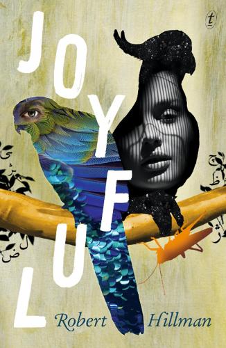 Joyful (Paperback)