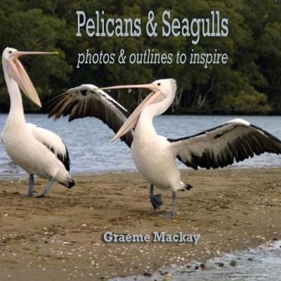 Pelicans & Seagulls: Photos and Outlines to Inspire (Paperback)