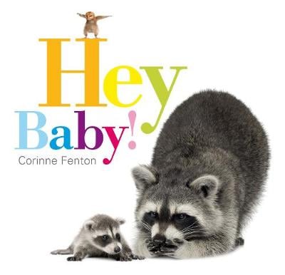 Hey Baby! (Paperback)