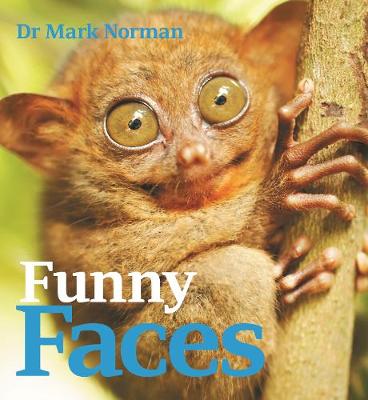 Funny Faces (Paperback)