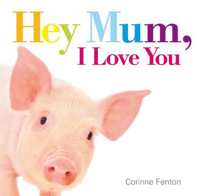 Hey Mum, I Love You (Hardback)