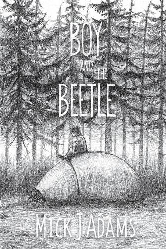 Boy and the Beetle (Paperback)