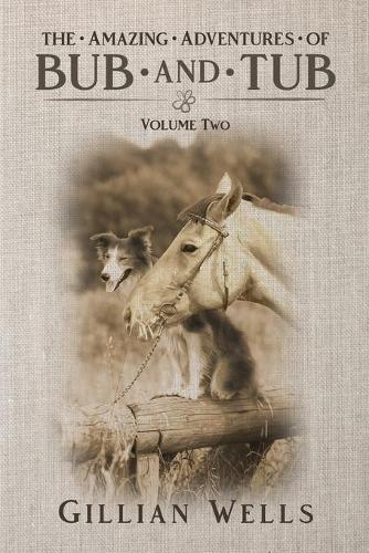 The Adventures of Bub & Tub: Volume Two (Paperback)