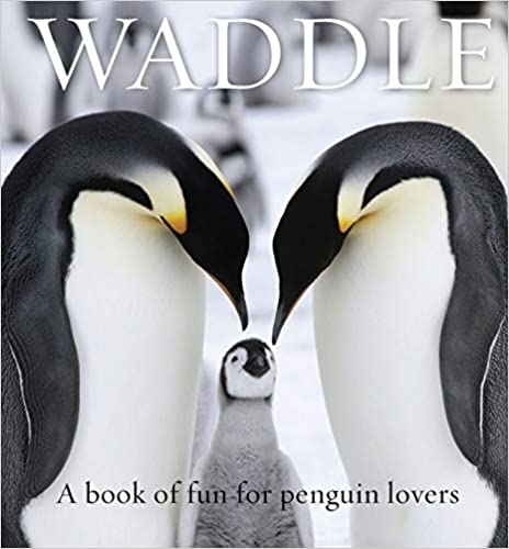 Waddle: A Book of Fun for Penguin Lovers - Animal Happiness (Hardback)