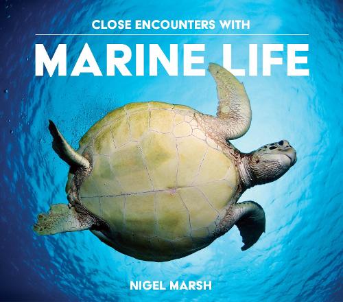 Close Encounters with Marine Life (Paperback)