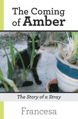 The Coming of Amber: The Story of a Stray (Paperback)