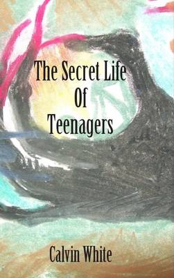 Secret Life of Teenagers: Confessions of a High School Counselor (Paperback)