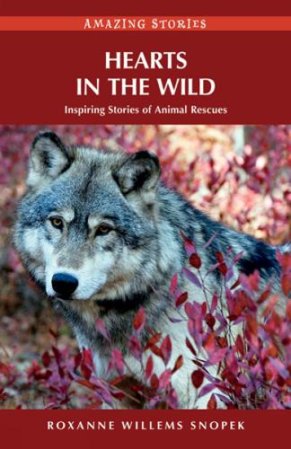 Hearts in the Wild: Inspiring Stories of Animal Rescues (Paperback)