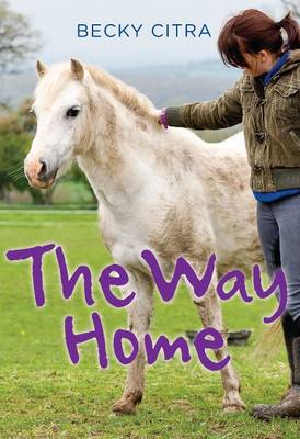 Way Home (Paperback)