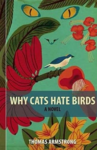 Why Cats Hate Birds (Paperback)