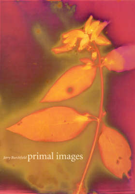 Primal Images: 100 Lumen Prints of Amazonia Flora (Hardback)